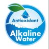 ALKALINE LOGO